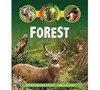 Life Cycles: Forest: 47 (Life Cycles, 47)