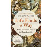 Life Finds a Way: What Evolution Teaches Us About Creativity