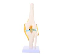 Life for Medical Teaching Anatomical Skeleton Model with Bendable Design for Patient Education and Anatomy Study Simulation Knee Joint Model