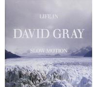Life in Slow Motion by David Gray