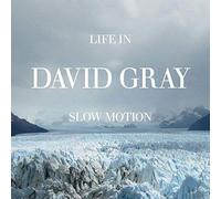 Life In Slow Motion By David Gray (2015-03-23)