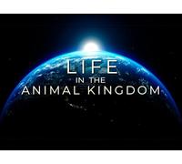 Life in the Animal Kingdom - Season 2