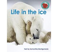 Life in the ice (Red Squirrel Phonics Level 7 Set 2a)