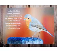 Life Inspirational/Motivational Robin Loved Ones from Heaven Watching Over You Poster/Print/Picture