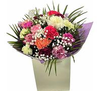 Life Is Bloom Fresh Flower Bouquet Of Mixed Carnations, Gypsophila in Gift Bag - Celebrating Summer Floral Arrangement for Birthdays, Get-Well, Wedding, Thank-You, Sympathy, event Party