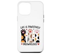 Life Is Pawsitively Meowvelous Cat Lover Case for iPhone 12 Pro Max