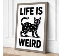 Life Is Weird Typography Canvas Wall Art Print 24x16 Inch (61 x 41 cm)