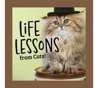 Life Lessons from Cats
