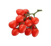 Life like Artificial Vine Tomato Cluster, 19cm Decorative Fruit for Food Styling, Visual Merchandising, and Crafts (Red)