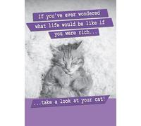 Life Like If Rich Take A Look At Your Cat! Funny Birthday Card