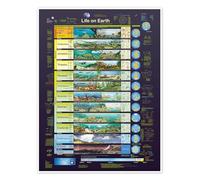 Life on Earth Poster by Planet Poster Editions 60 x 80 cm Wall art Wall decor