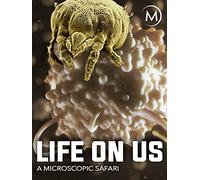 Life on Us: A Microscopic Safari