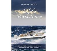Life’s Persistence: We Face Stormy Seas in Anticipation of Landing on Solid Ground