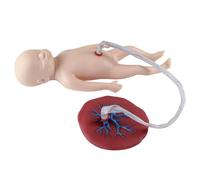 Life Size Baby Nursing Training Mannequin with Umbilical Cord and Placenta for Gynecology Teaching and Infant Care Simulation