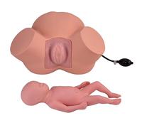 DRXRD Life Size Child Birth Simulator Model, Dystocia Labor & Delivery Teaching Model with Adjustable Inflatable Bag to Adjust the Width of the Pelvis, for Obstetrics Gynecology Training Teaching