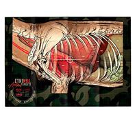 Life Size Deer Vitals 2 Sided Paper Range Target for Archery & Rifle Hunters by EthiKill - Realistic Anatomy Illustration - 19x27 inches (5 Pack)