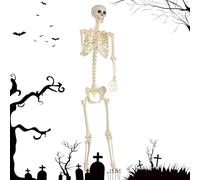 Life Size Horror Skeleton Decoration - Anatomically Accurate and Flexible Joints | Outdoor/Indoor Halloween Decoration (for Gardens, Gardens, Bath Scenes) -