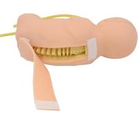 Life-size Infant Lumbar Puncture Simulator, Neonatal Practice Model For Doctors, Nurses & Students, Realistic Training Aid For Medical Skills Development Flesh