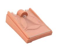 Life-Size Intrauterine Device Training Model Anatomical Female Reproductive System with Cross-Section Uterus organ model