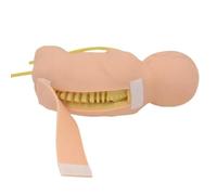 Life Size Newborn Baby Lumbar Puncture Model, Lumbale Punctie Training Simulator for Doctors Nurses Students Practice Teaching
