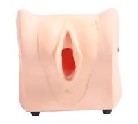 Life-Size Uterine Model with IUD Training Simulator, High-Simulation Female Reproductive Anatomical Model organ model