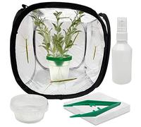 Life Unearthed Indian Stick Insect Starter Kit (Delivered with Voucher for Live Insects)