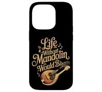 Life Without Mandolin Would Be Flat Funny Music Pun Case for iPhone 14 Pro
