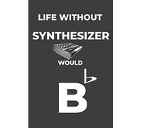 Life Without Synthesizer: Life Would Be Flat Instrument Music Blank Lined Journal, Notebook, Diary, Birthday Graduation Gift, Planner for Musicians