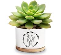 Life Would Succ Without You White Ceramic Succulent Planter Pots, Funny Planter Pots for Plant Lover Birthday, 3.6 Inch (Plant Not Included) (Please Don't Die)