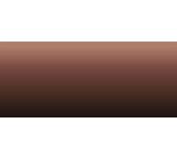 LifeColor Liquid Pigments LPW06 Deep Rust