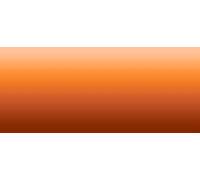 LifeColor Liquid Pigments LPW08 Dark Rust