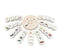 Lifecycle Tray - 26cm Beech Wood Puzzle, Growth Cycle Board | Nature Discovery Development Toy For Science, Education Early Learning Center Nursery School Playroom Botany Biology Study