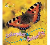 Lifecycles: Caterpillar to Butterfly
