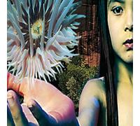 Lifeforms