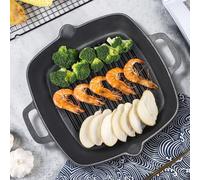 Lifeideas Pre-Seasoned Cast Iron Grill Pan with Dual Handles | TJ Hughes