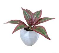 Lifelike 7-Fork Artificial Snake Plant, Bendable Sansevieria with Detailed Veins, Long-Lasting Faux Leaves for Home Decor and Wedding Props, 36cm(B)