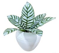 Lifelike 7-Fork Artificial Snake Plant, Bendable Sansevieria with Detailed Veins, Long-Lasting Faux Leaves for Home Decor and Wedding Props, 36cm(M)