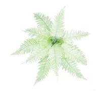 Lifelike Artificial Plant for Reptile Terrarium Hanging Climbing Decoration Plastic for fern and Persian Leaves for versatile Foliage for Garden Wedding Outdoor Display(M)