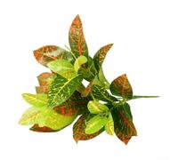 Lifelike Artificial Plant for Reptile Terrarium Hanging Climbing Decoration Plastic for fern and Persian Leaves for versatile Foliage for Garden Wedding Outdoor Display(C)