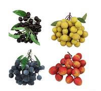 Lifelike Fake Fruit for Home Decoration Longan, Blueberry, and Cherries for Photography and Store Displays (F)