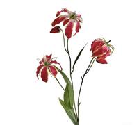 Lifelike Flame Lily Artificial Bloom for Home Decor with Detailed Structure for Use in Staging or Interior Accents (Red)