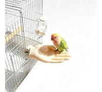 Lifelike Hand Shaped Parrot Perch, Non-Slip Bird Stand for Taming | Realistic hand shaped bird perch and parrot stand with a frosted non-slip surface for desensitisation training in the cage.
