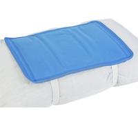 Lifemax Cool Gel Pillow Pad