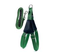 Lifepet Adjustable No-Pull Dog Harness with 1.08m Lead, Easy Walk (M, Green)