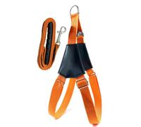 Lifepet Adjustable No-Pull Dog Harness with 1.08m Lead, Easy Walk (S, Orange)