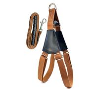 Lifepet Adjustable No-Pull Dog Harness with 1.08m Lead, Easy Walk (Small, Brown)