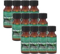 Lifescapes Fragrance Warming Oil, 6 Pack, 55ml, Amber Woods, Lavender, Eucalyptus, Cinnamon Spiced Apple, Vanilla Cupcake (Eucalyptus Mint)
