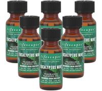 Lifescapes Fragrance Warming Oil, 6 Pack, 55ml, Assorted Scents Including Amber Woods, Lavender, Eucalyptus, Cinnamon (Eucalyptus Mint)