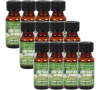 Lifescapes Fragrance Warming Oil, 7 Scents, 55ml, Pack of 24 (Honeysuckle Jasmine)