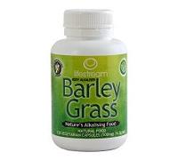 Lifestream Organic Barley Grass 500mg 120 Capsules
